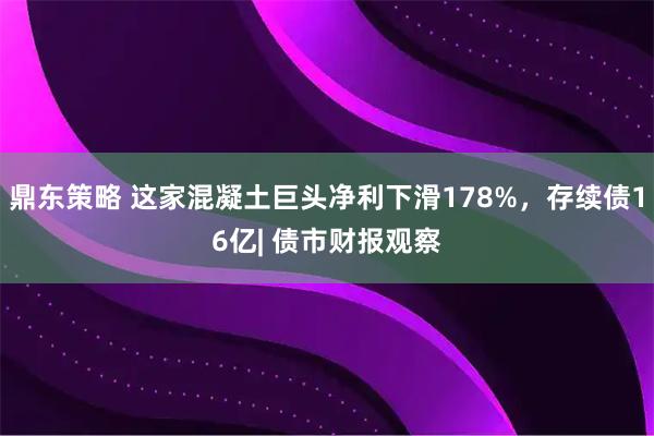 鼎东策略 这家混凝土巨头净利下滑178%，存续债16亿| 债市财报观察